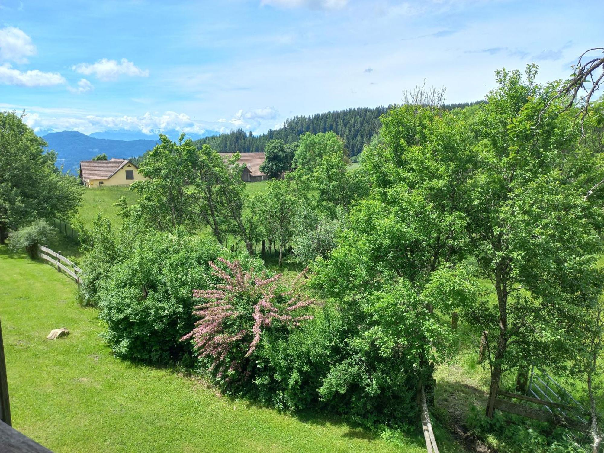 Steurer Hof Apartamento Liebenfels Exterior foto