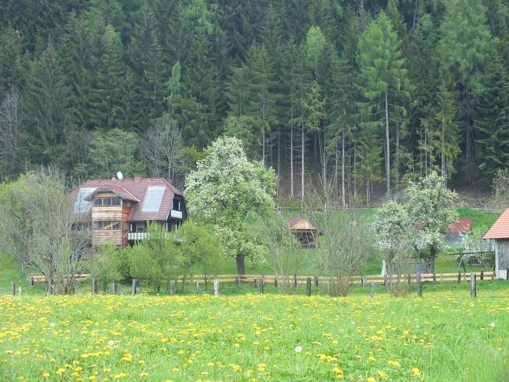 Steurer Hof Apartamento Liebenfels Exterior foto