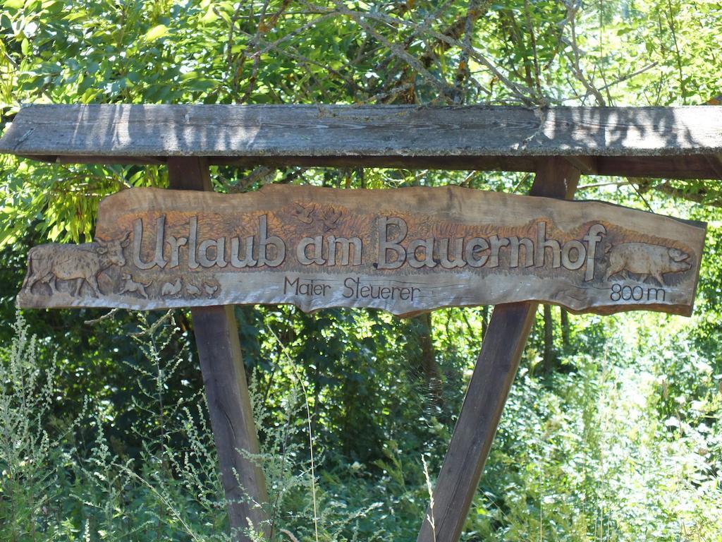 Steurer Hof Apartamento Liebenfels Exterior foto